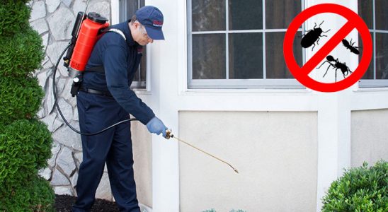 Felahiye Tahtakurusu İlaçlama böcek ilaçlama ve haşere kontrolü — ilaclama-tr.com